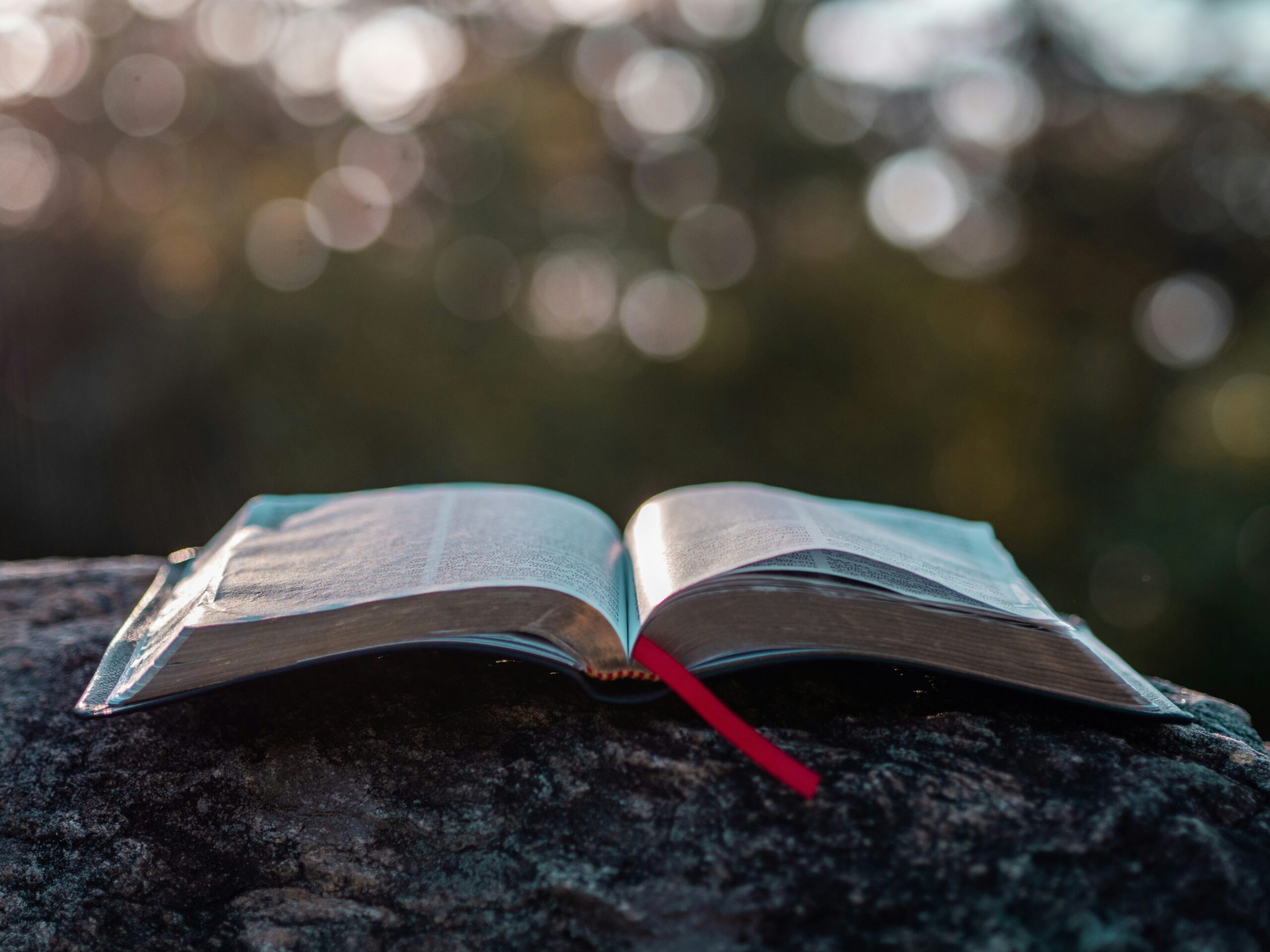 aaron-burden-Fns9jUKGVkw-unsplash